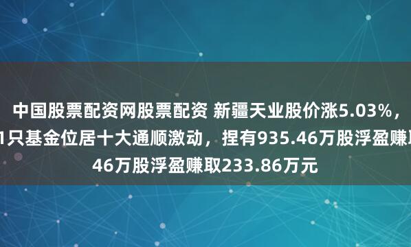 中国股票配资网股票配资 新疆天业股价涨5.03%，南边基金旗下1只基金位居十大通顺激动，捏有935.46万股浮盈赚取233.86万元