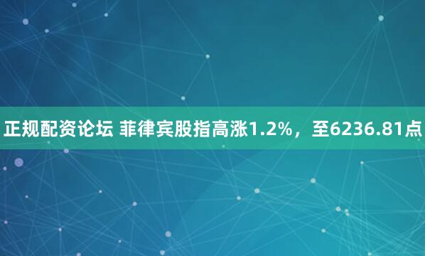 正规配资论坛 菲律宾股指高涨1.2%，至6236.81点