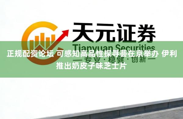 正规配资论坛 可感知高品性探寻荟在京举办 伊利推出奶皮子味芝士片